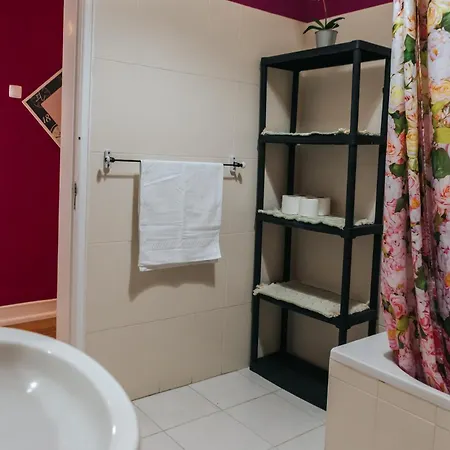 Guest house Daniela's Central 305